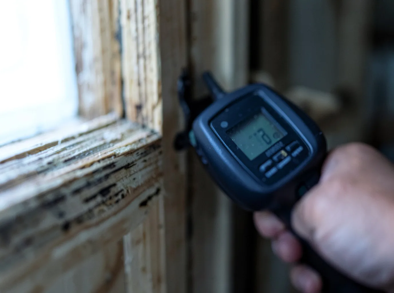 Ceiling Water Damage Repair in Eagle, AK
